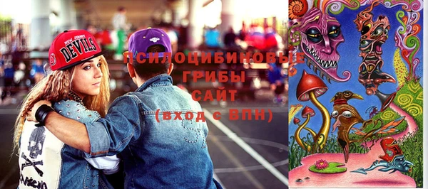 стаф Арсеньев