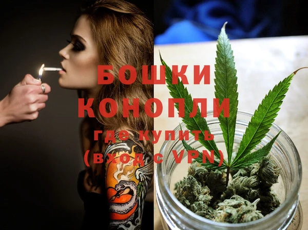 PSILOCYBIN Армянск