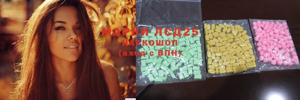 PSILOCYBIN Армянск