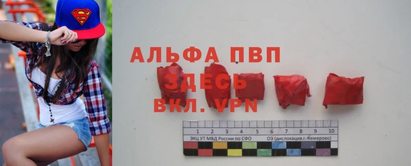 стаф Арсеньев