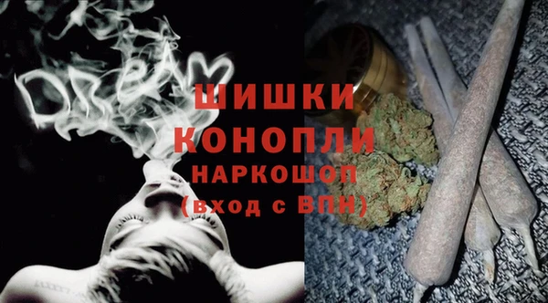 стаф Арсеньев
