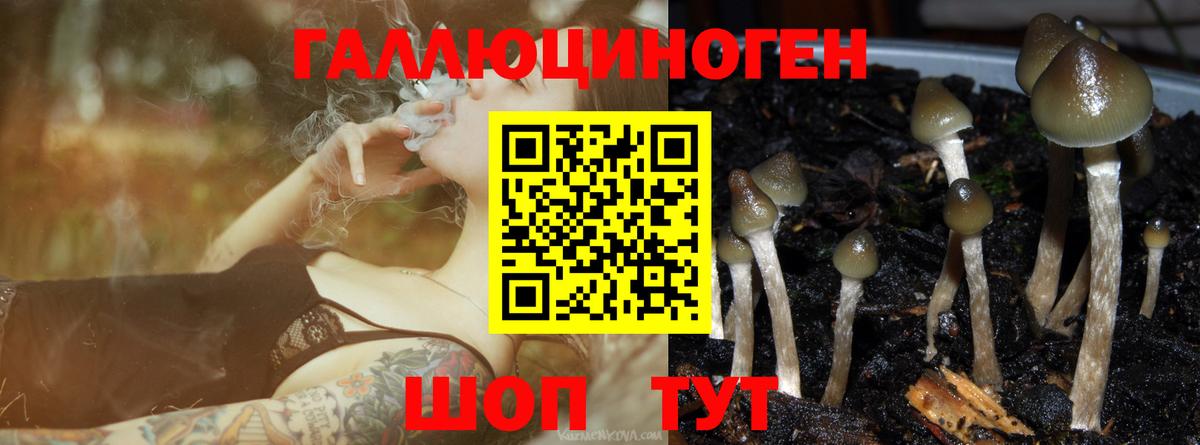 Зима  Галлюциногенные грибы ЛСД  Галлюциногенные грибы Psilocybine cubensis  Вход с VPN 